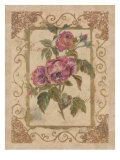 Rose Feuilles