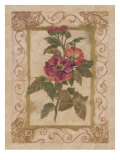 Rose De Provins