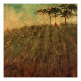 Vineyard Hill
