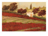 Apapaveri Toscana I