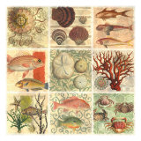 Under The Sea I