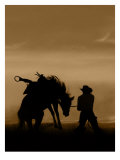 Bucking Horse Silhouette