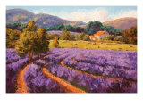 Fragrant Fields