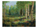 Aspen Meadow
