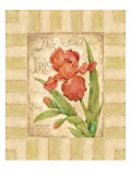 Belle Fleur II