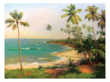Tropical Coastline