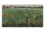 Lambard Landscape