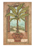 Classical Banana Tree