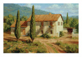 Tuscan Cypress