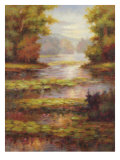 Lily Pond
