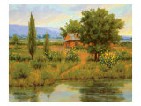 Wild Sunflowers