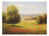 Red Meadow II