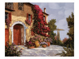 Bougainvillea