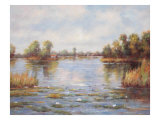 Tranquil Reflections