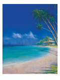 Bahama Cove