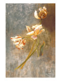 Tulip Rhythms