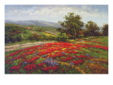 Campo di Fiore II