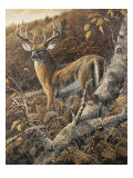 Duke of Autumn