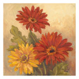 Gerber Daisies I