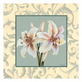 Lillies with Scroll