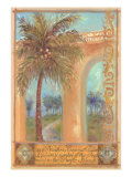 Coconut Palm
