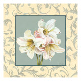 Amarillis with Scroll