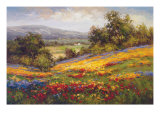 Campo di Fiore I