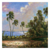 Mystic Lagoon II