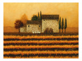 Fall Vineyard