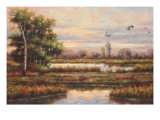 Marshland