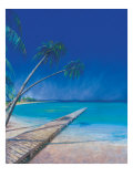 Bahama Beach