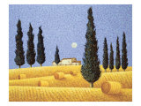Cypress and Hay