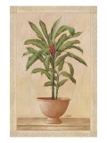 Potted Palm I
