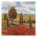 Chianti Country I