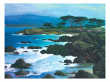 Coastline at Pacific Grove