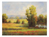 Red Meadow I