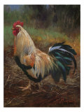 White And Green Rooster