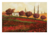 Apapaveri Toscana II