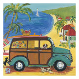 Woody at the Beach