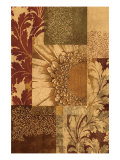 Acanthus Daisy
