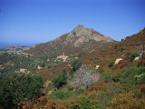 Landscape Near Corbara  Balagne Region  Corsica  France  Europe