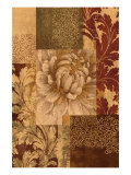 Acanthus Mum