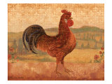 Florentine Rooster II