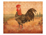 Florentine Rooster I