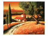 Tuscan Landscape