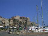 Harbour at Calvi  Balagne Region  Corsica  France  Mediterranean  Europe