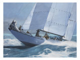 Into the Waves
