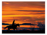 Ropin' at Sunset