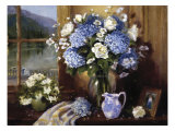 Hydrangeas in Italy