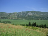 Neretva Delta Valley  Croatia  Europe